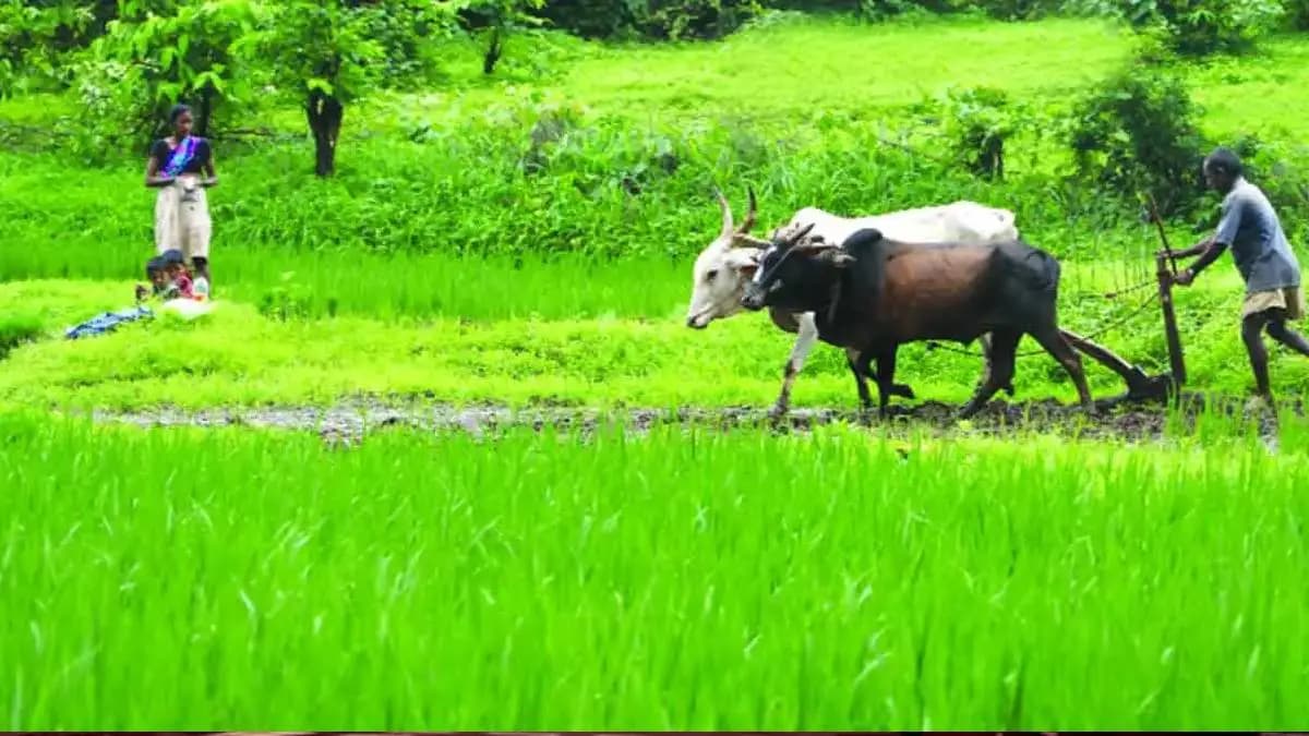 Mandatory Verification of Farmer Certificates: सिंधुदुर्गमध्ये शेतजमीन खरेदीसाठी दाखल्याची पडताळणी अनिवार्य