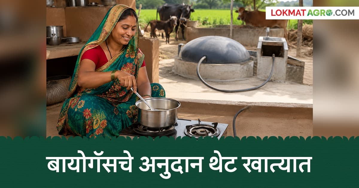 Big Change in Biogas Scheme: बायोगॅस योजनेत मोठा बदल! अनुदान थेट बँक खात्यात